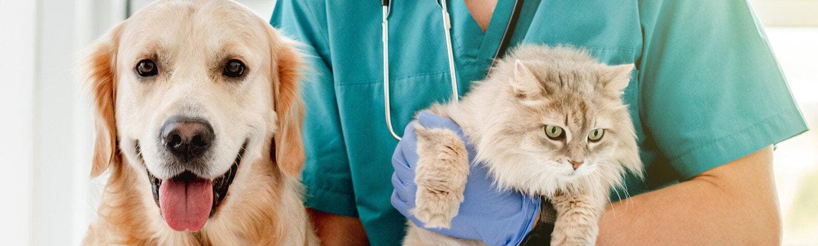 Vitality Veterinary Services